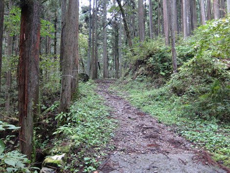 20191031hike (8)